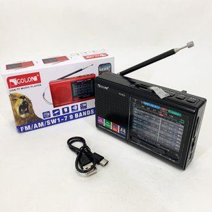 Портативна стовпчик радіо MP3 USB Golon RX-6622 Black ws31912-4 фото